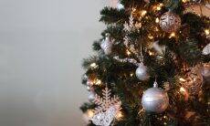 Será seguro comprar uma árvore de Natal de verdade esse ano?