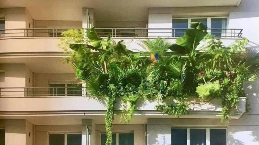 Varanda lotada de plantas viraliza no Twitter e vira meme
