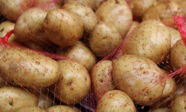 Saco de batatas. Crédito: Antara Verma
