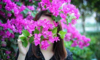 Aprenda cuidados com a bougainvillea, popularmente conhecida como primavera. Foto: Dung Le Tien