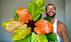 Pais de plantas postam orgulhosos seus 'filhos' nas redes sociais. Fotos: Reprodução/Reddit