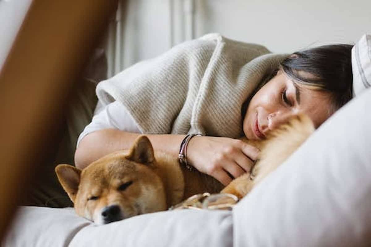 Pesquisa revela se é bom dormir com animais de estimação. Foto: Meruyert Gonullu/Pexels