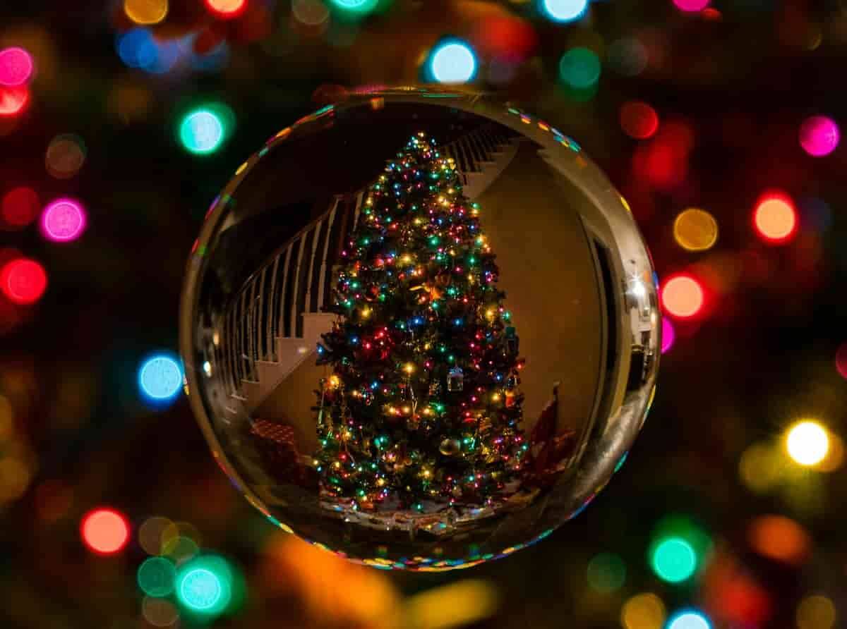 Evite esses erros com as luzes de Natal. Foto: Bob SpringBob54/Pexels