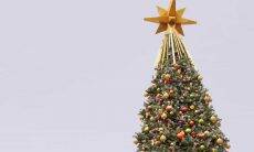 Ideias de topos de árvore diferentes para esse Natal. Foto: Bam Parima/Pexels