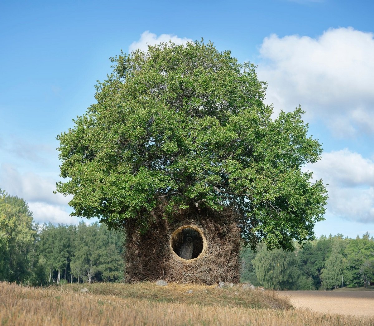 Artistas se unem para criar uma árvore feita de materiais da natureza ao redor. Fotos: Ulf Mejergren and Antti Laitinen